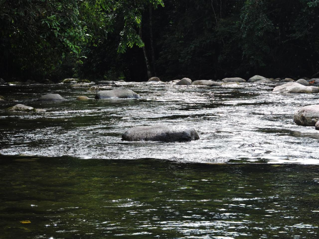 Pousada Da Cachoeira Taquari Paraty Bagian luar foto